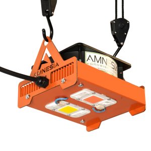 Cob Yxo 100w Mixto
