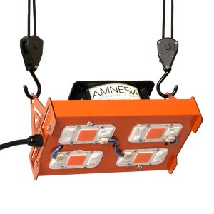 Cob Yxo 200w Full Spectrum