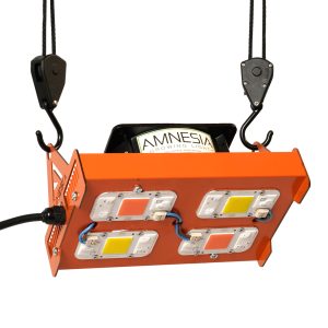 Cob Yxo 200w Mixto