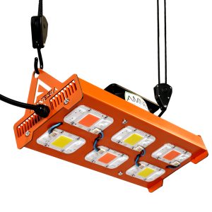 Cob Yxo 300w Mixto