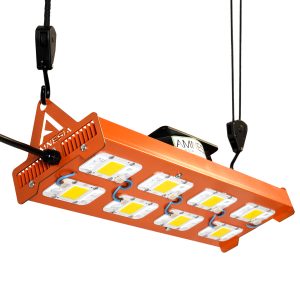 Cob Yxo 400w Calido