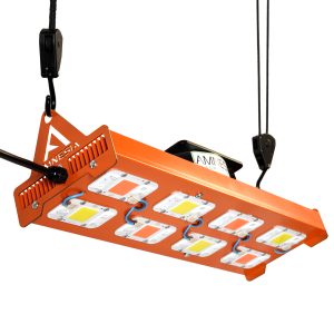 Cob Yxo 400w Mixto