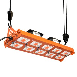 Cob Yxo 500w Full Spectrum