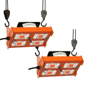 Promocion 2x 200w