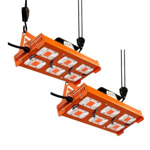 Promocion 2x 300w