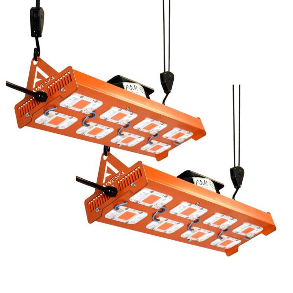 Promocion 2x 400w