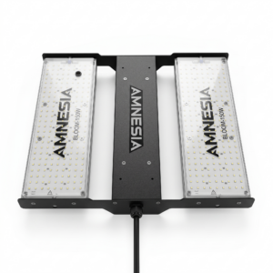 Samsung Bloom 300w