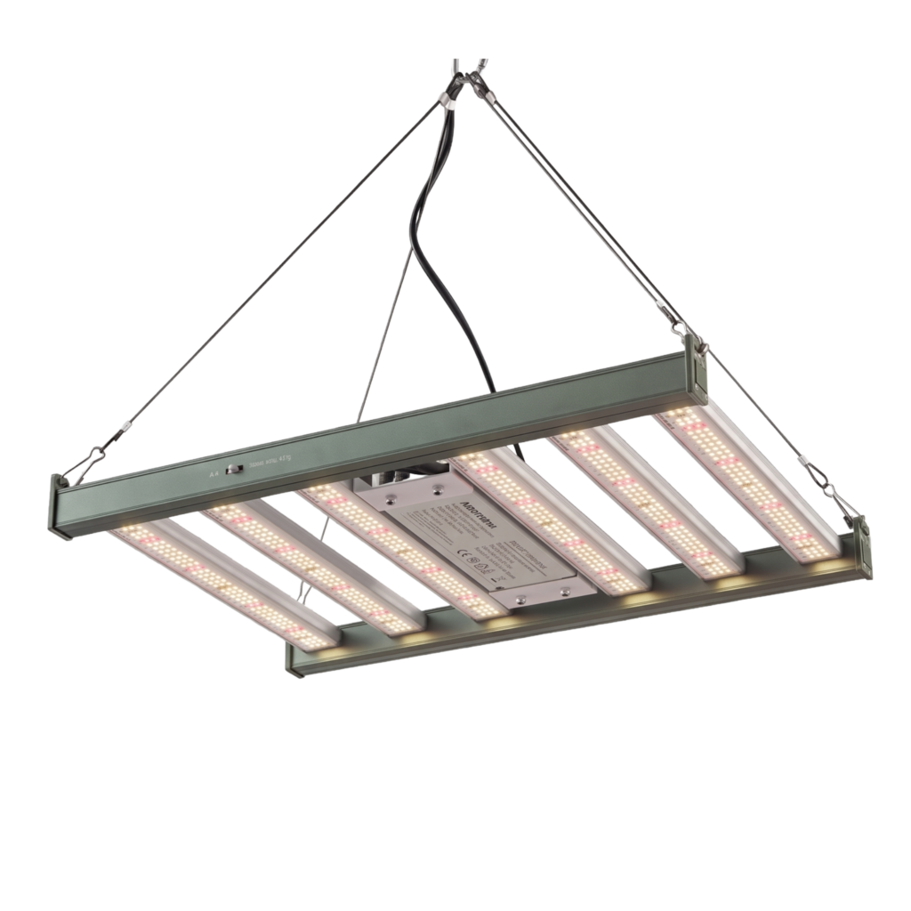 Panel LED Amnesia