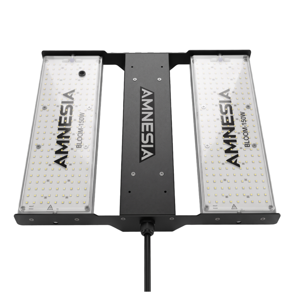 Panel LED Amnesia