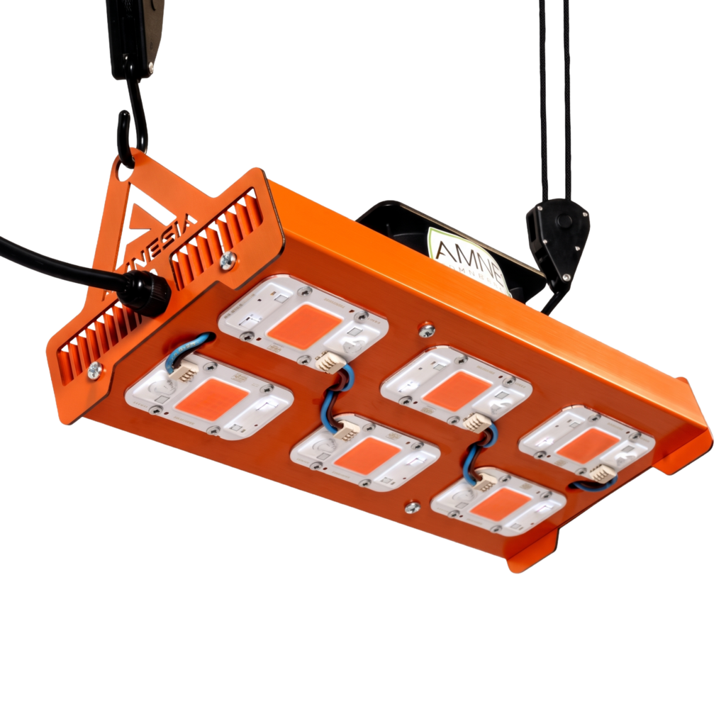 Panel LED Amnesia